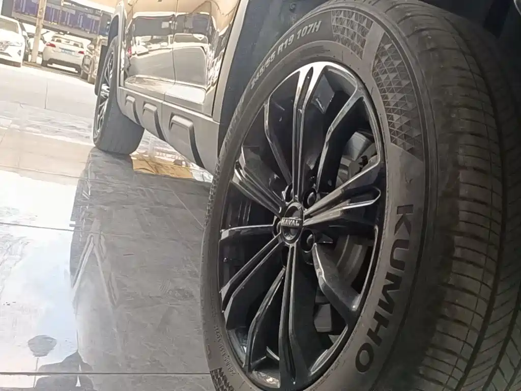 Haval Raptors New Energy 2023 — фото 22