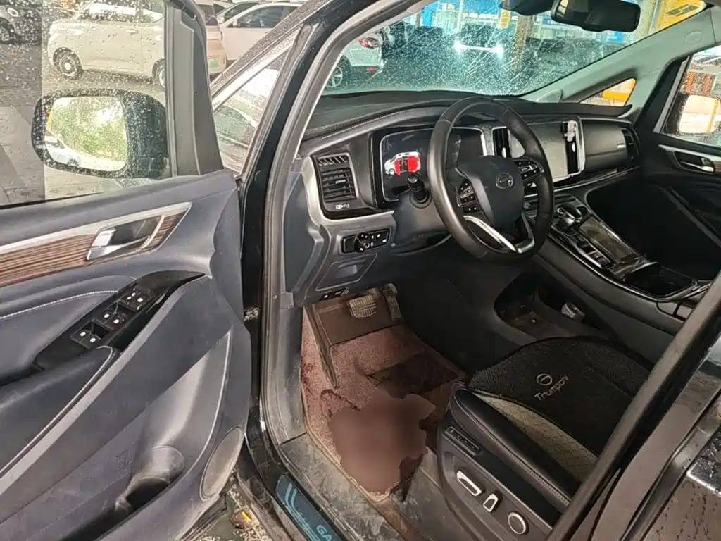 GAC Trumpchi M8 2021 — фото 16