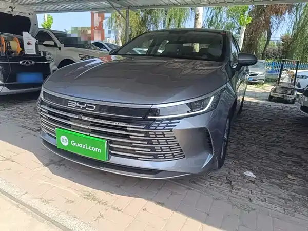 BYD Destroyer 05 2024