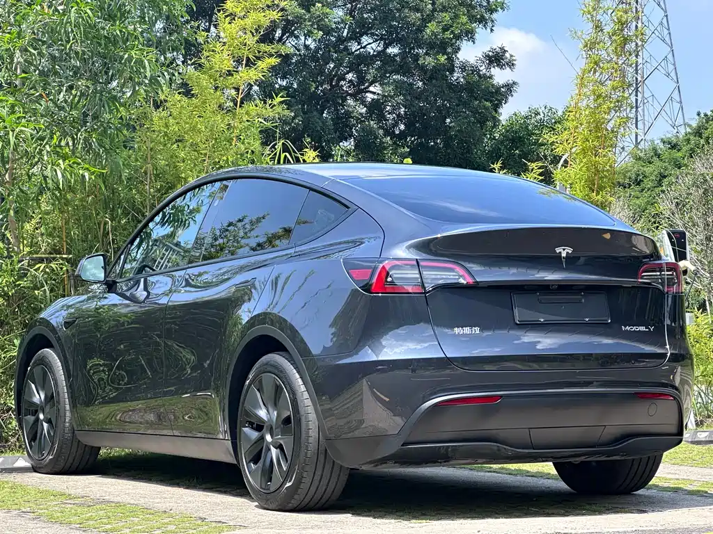 Tesla Model Y 2024 — фото 10