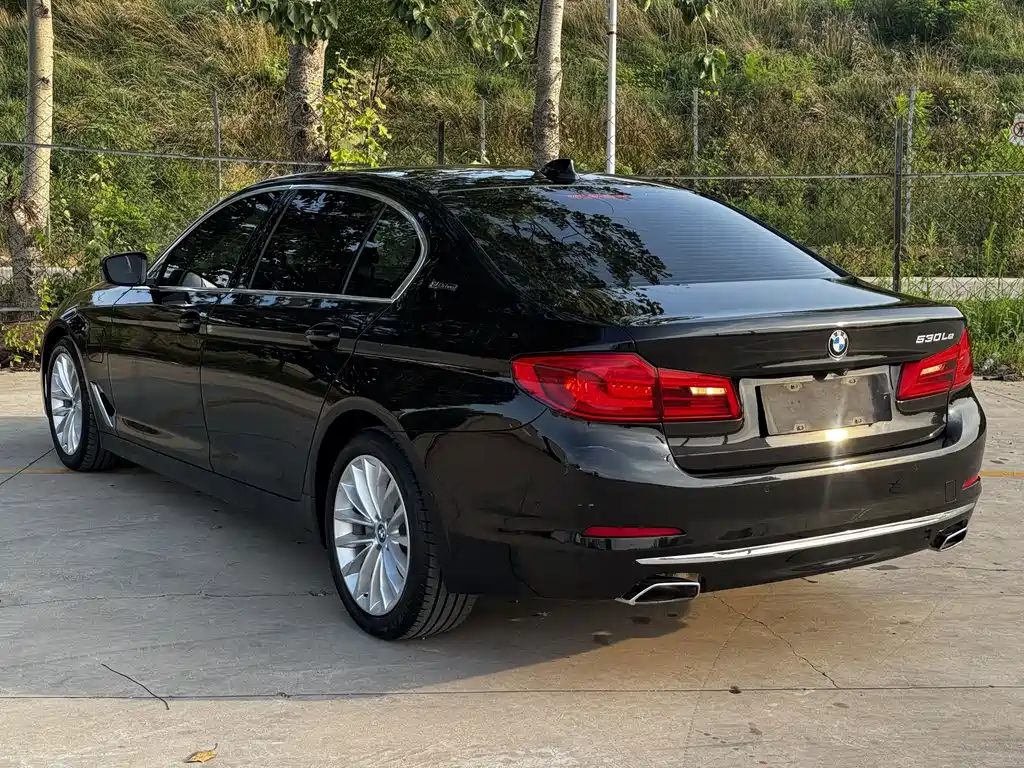 BMW 5 Series New Energy 2019