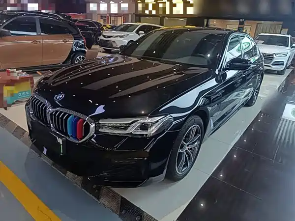 BMW 5 Series New Energy 2024