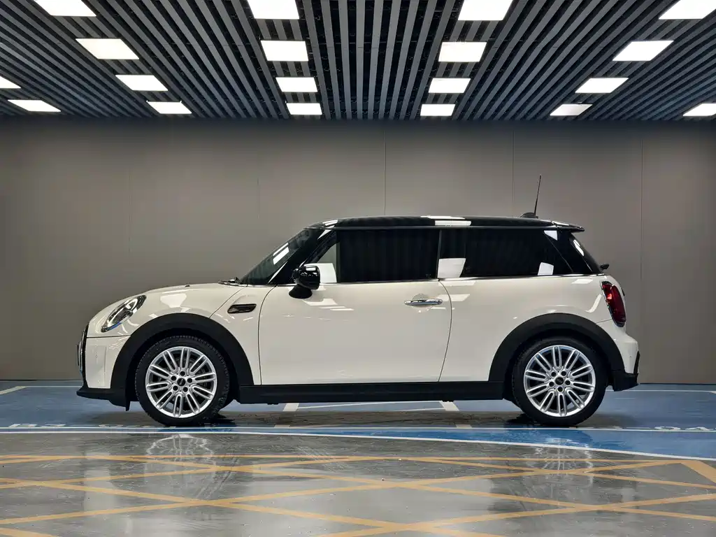 MINI MINI 2022