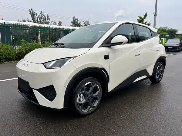BYD Seagull 2025