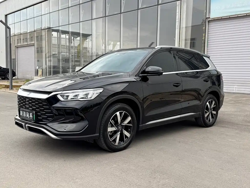 BYD Pro New Energy 2024