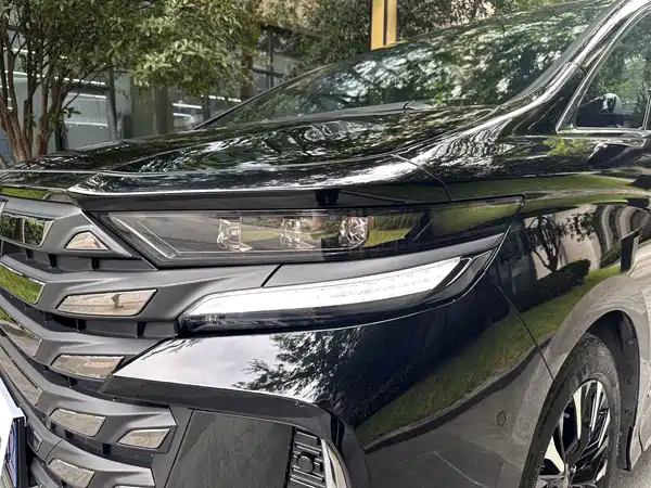 Toyota Wilfa 2024