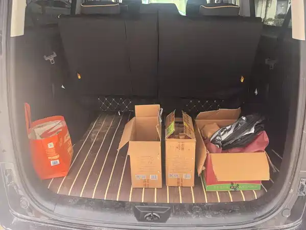 JAC Ruifeng M3 2025