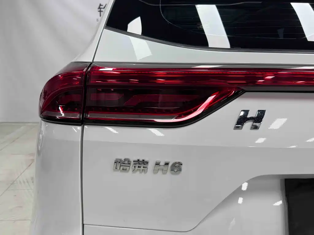 Haval H6 2022 — фото 9