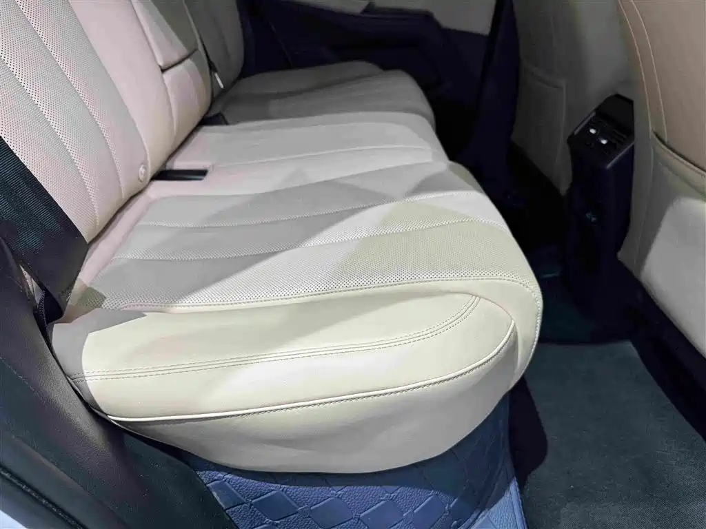 BYD Song Pro New Energy 2025 — фото 30