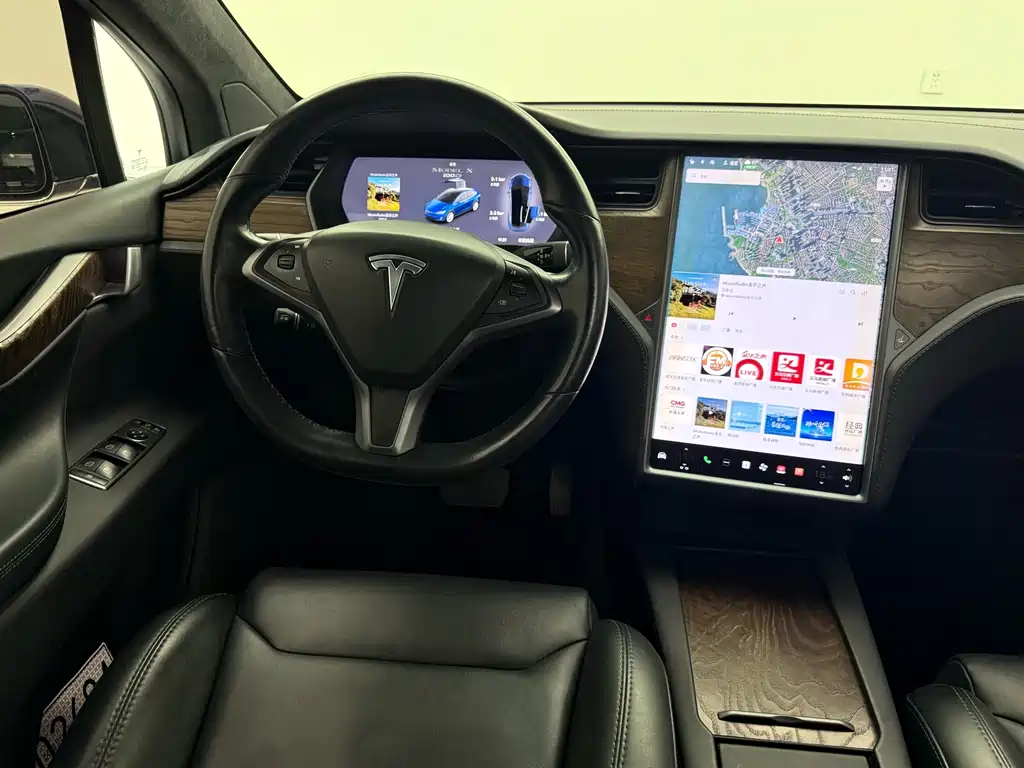 Tesla Model X 2019 — фото 15