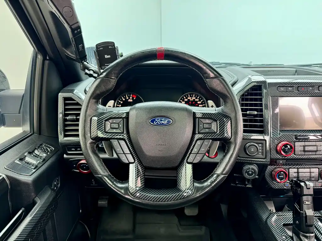Ford F-150 Raptor 2017 — фото 18
