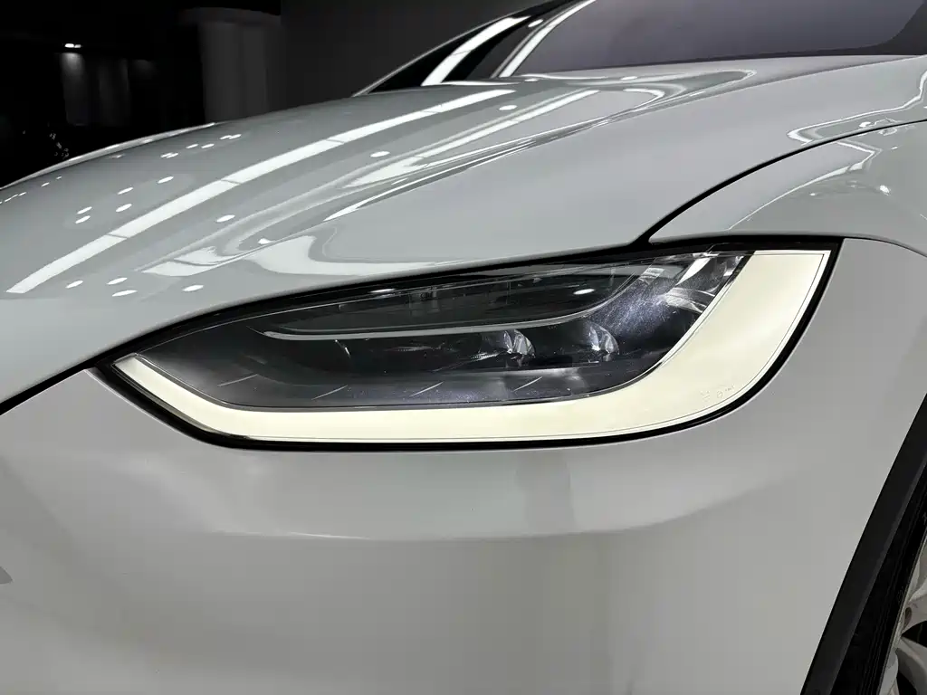 Tesla Model X 2020 — фото 9