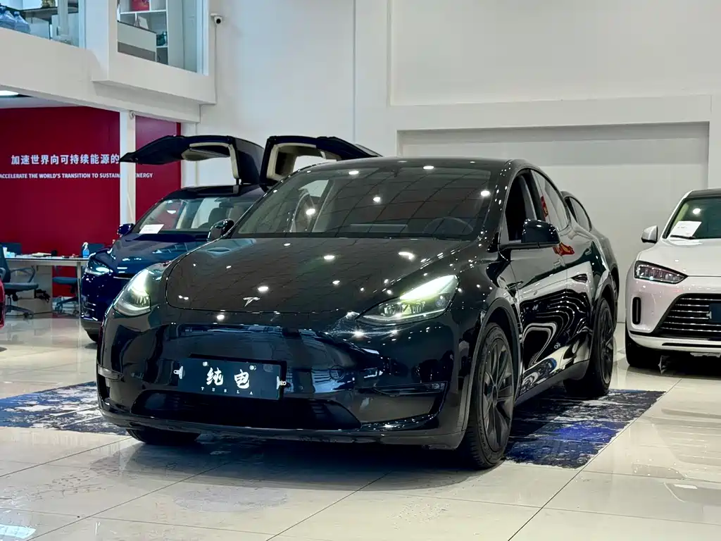 Tesla Model Y 2021 — фото 1