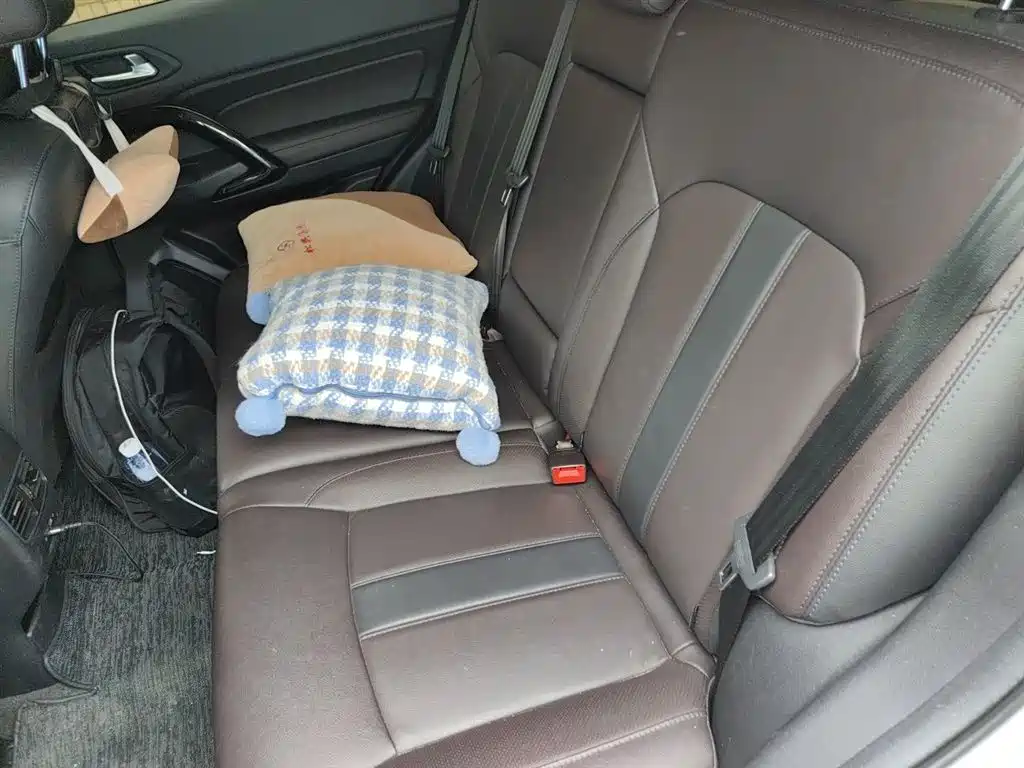 GAC Motor Trumpchi GS4 2019 — фото 15