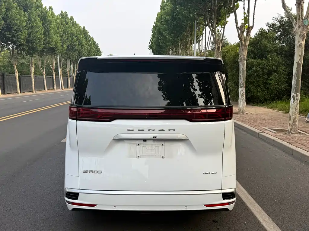 Denza D9 2024