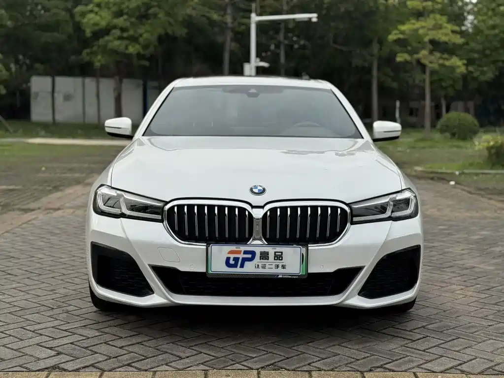BMW 5 Series New Energy 2021