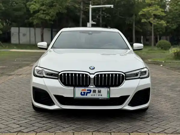 BMW 5 Series New Energy 2021