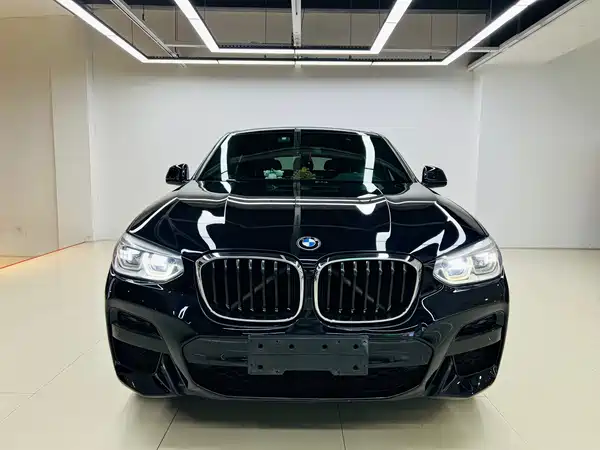 BMW X4 2019