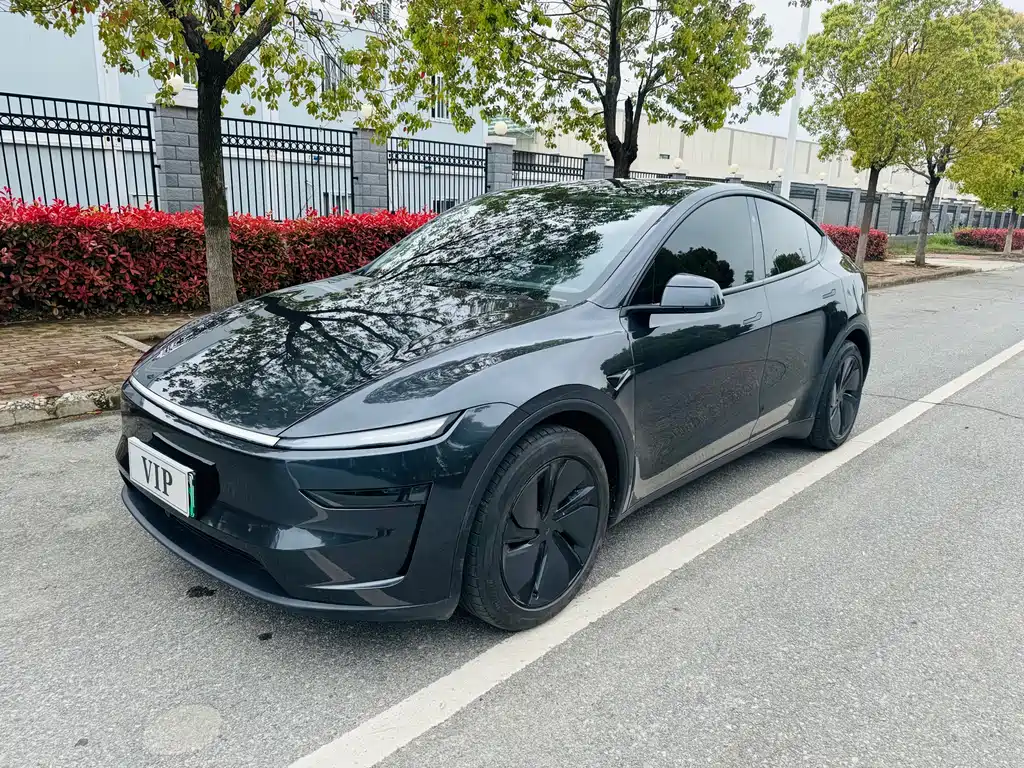 Tesla Model Y 2025 — фото 1