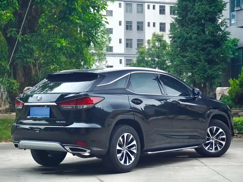 Lexus RX 2022 — фото 9