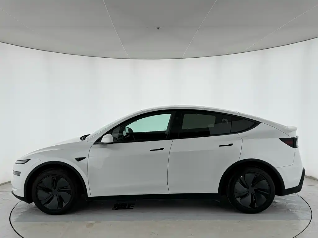Tesla Model Y 2025 — фото 3