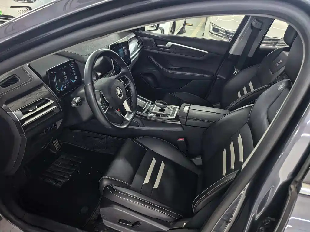 BYD Qin Pro NEV 2020 — фото 5