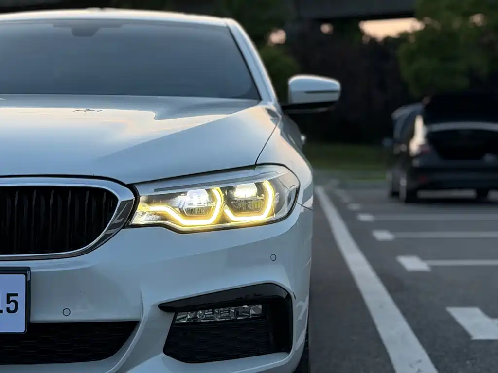 BMW 5 Series 2018 — фото 30