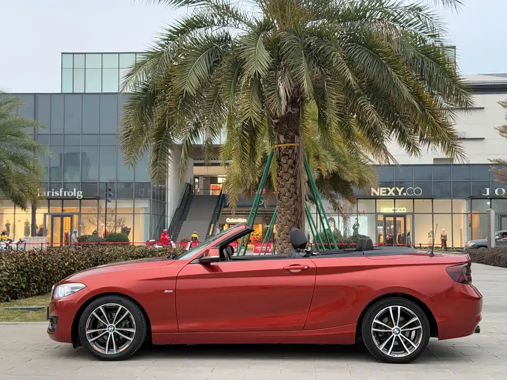 BMW 2 Series 2018 — фото 9