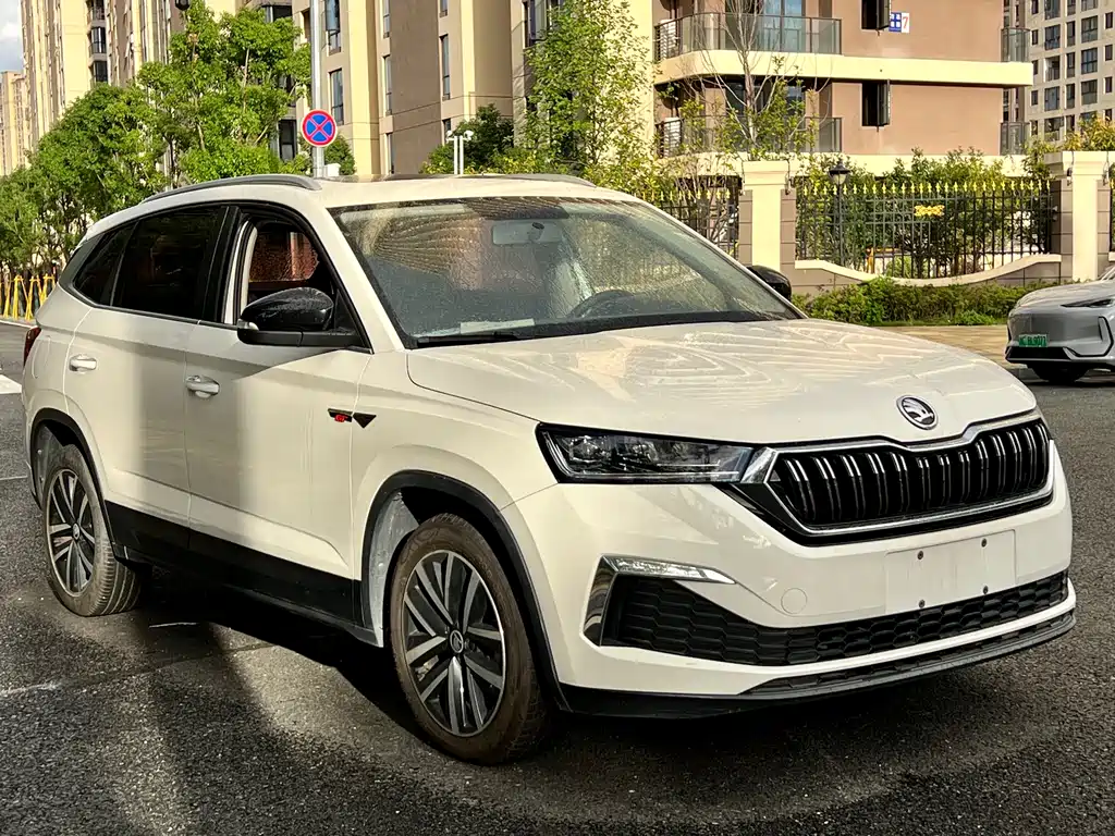 Skoda Kamiq 2021 — фото 3