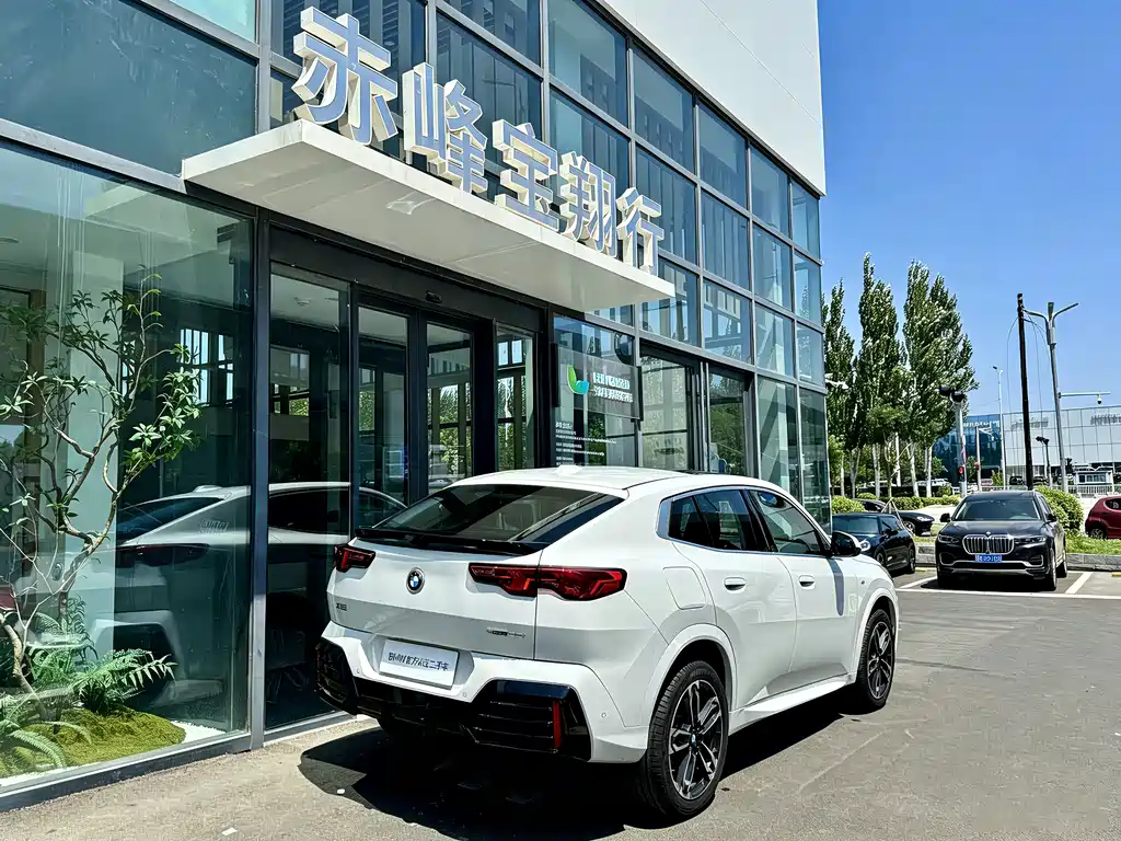 BMW X2 2025 — фото 8