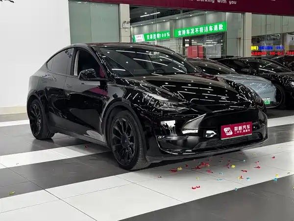 Tesla Model Y 2021