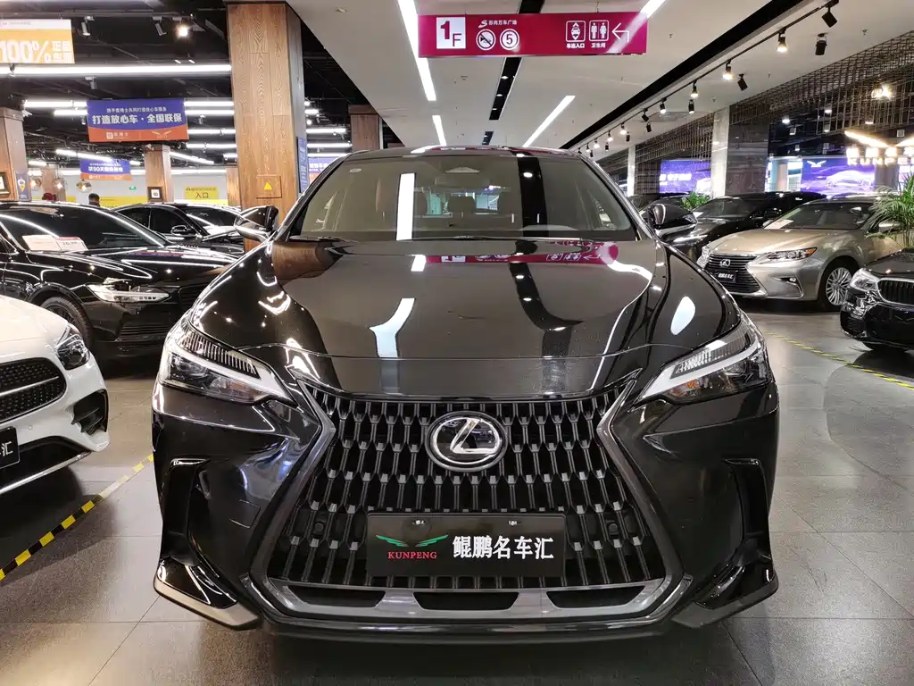 Lexus NX 2023 — фото 2