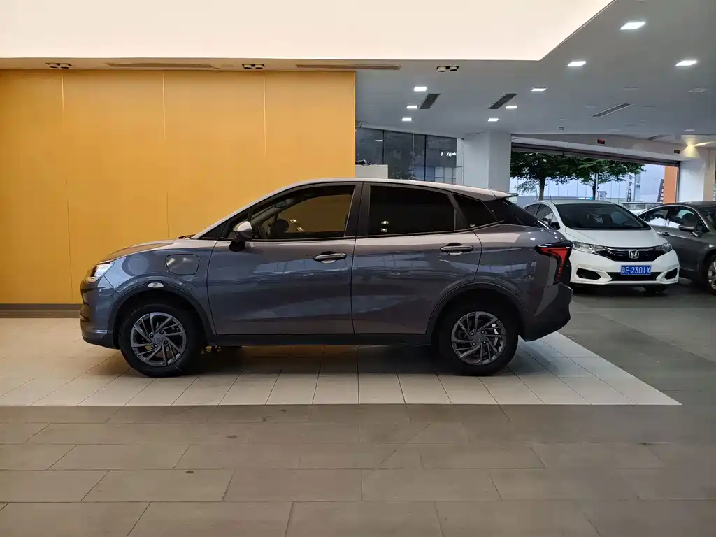Neta V 2022