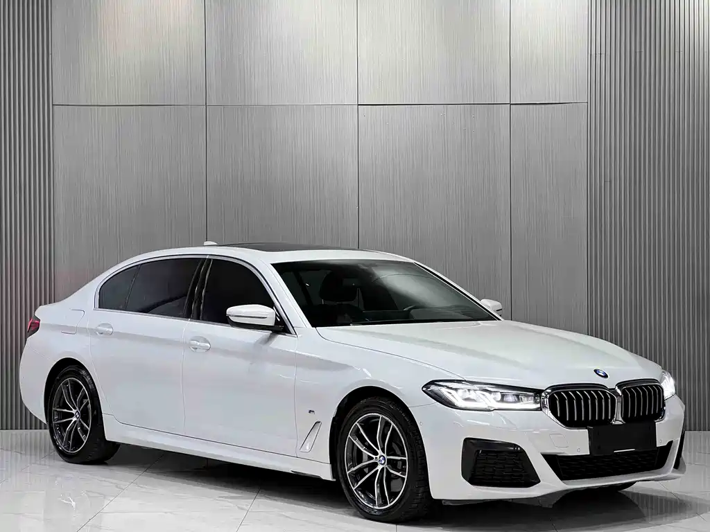 BMW 5 Series New Energy 2021 — фото 3