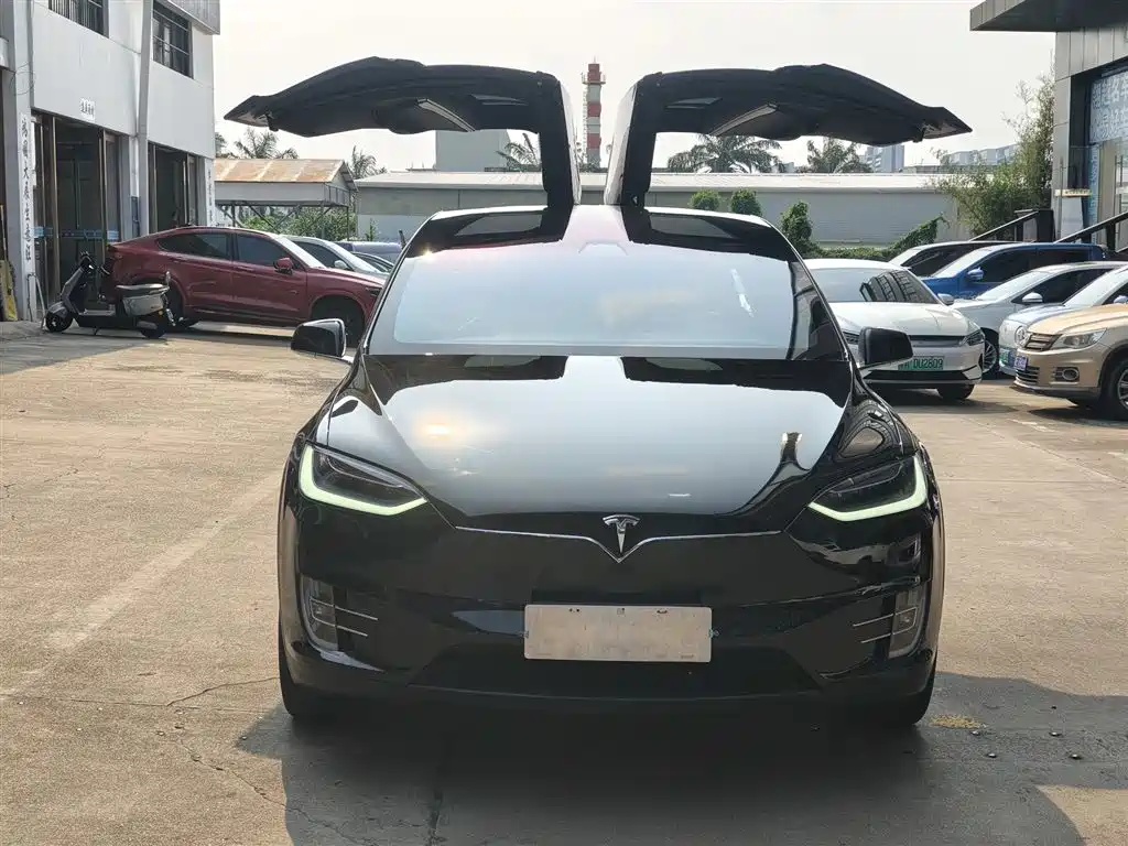 Tesla Model X 2017 — фото 2