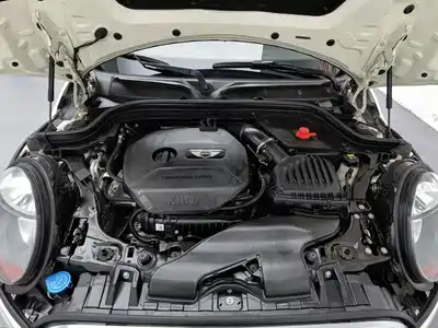 MINI MINI 2018