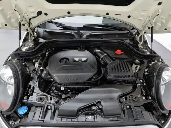 MINI 2018