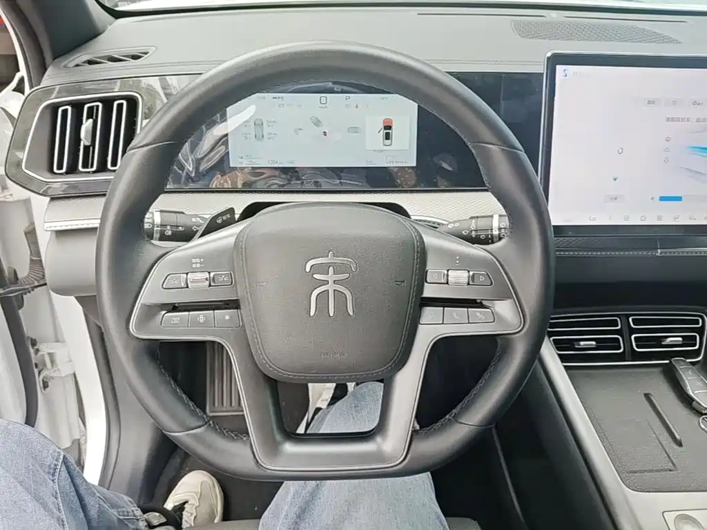 BYD Song Pro New Energy 2025 — фото 11