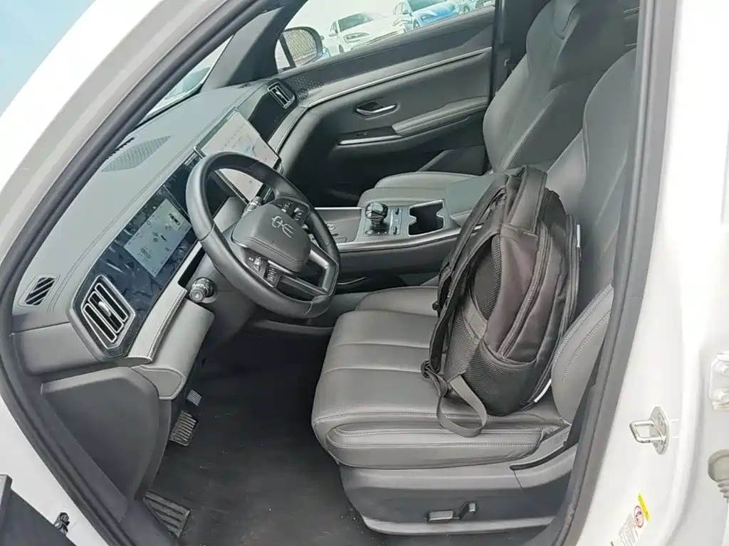 BYD Song Pro New Energy 2025 — фото 15