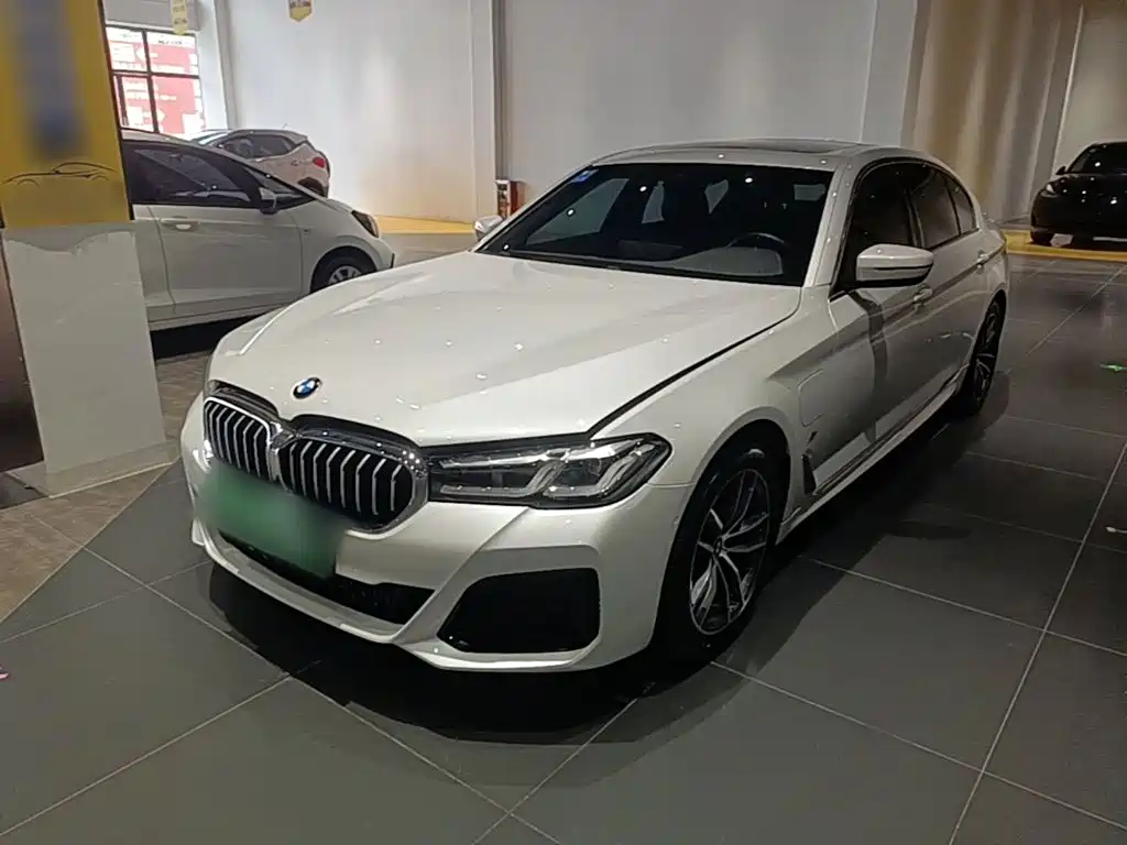 BMW 5 Series New Energy 2021