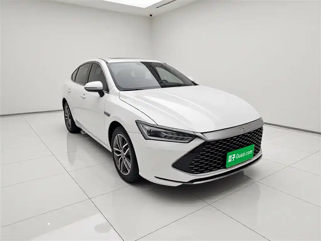 BYD Qin PLUS 2023 — фото 3