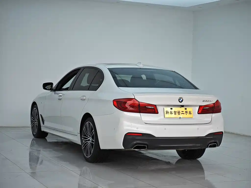 BMW 5 Series 2019 — фото 6