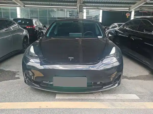 Tesla Model 3 2021