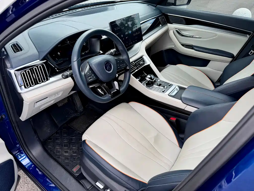 BYD Song PLUS New Energy 2023 — фото 8