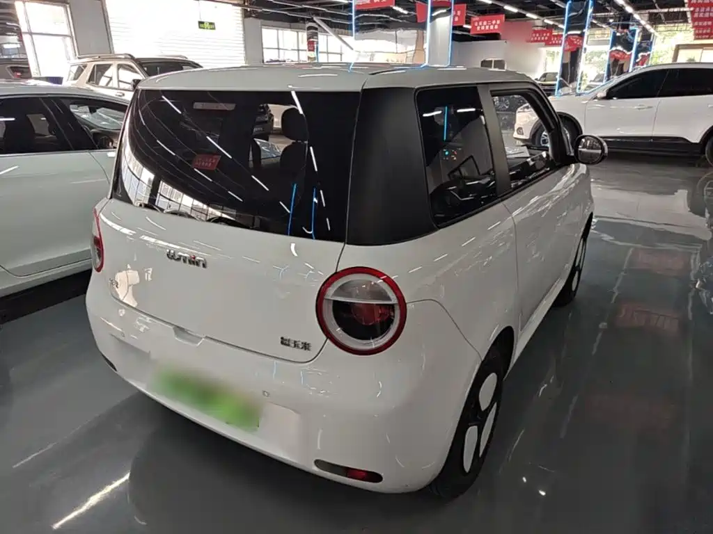 Qiyuan Lumin 2025