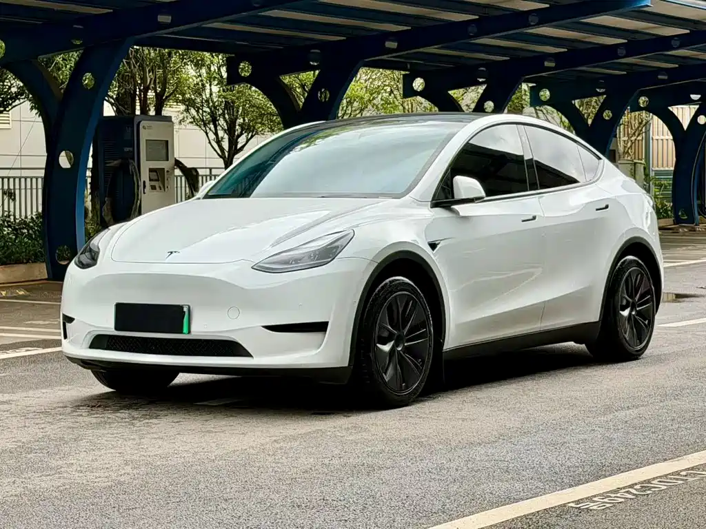 Tesla Model Y 2023 — фото 1