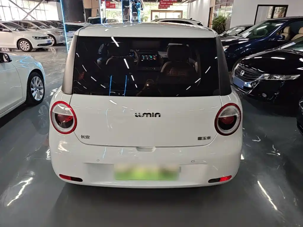 Qiyuan Lumin 2025