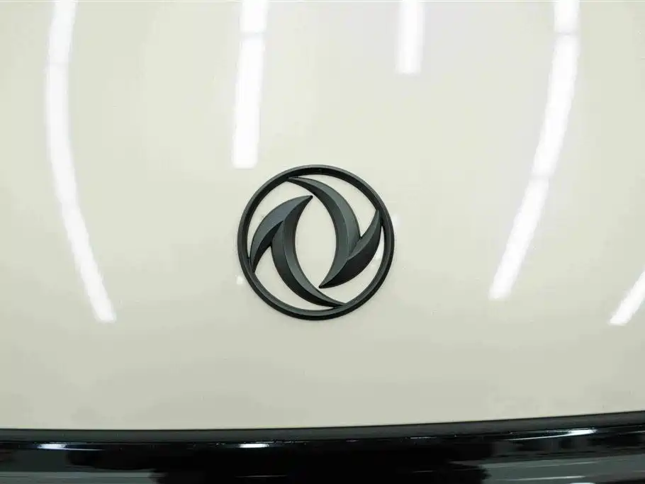 Dongfeng Nano 06 2025 — фото 11