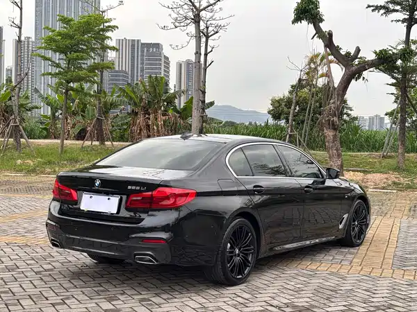 BMW 5 Series 2020
