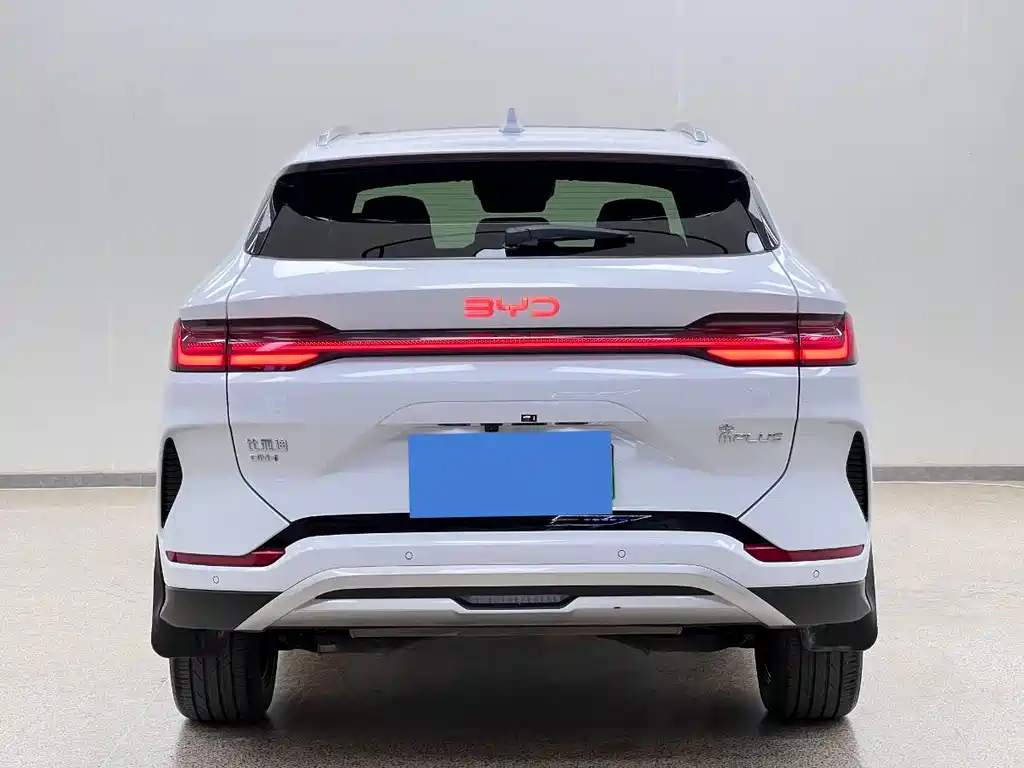 BYD PLUS New Energy 2024 — фото 6